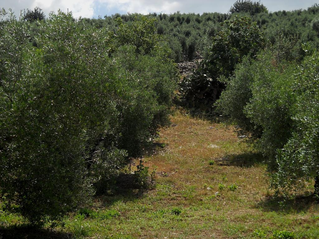 Agriturismo Casale Ré Sonnino Quarto foto